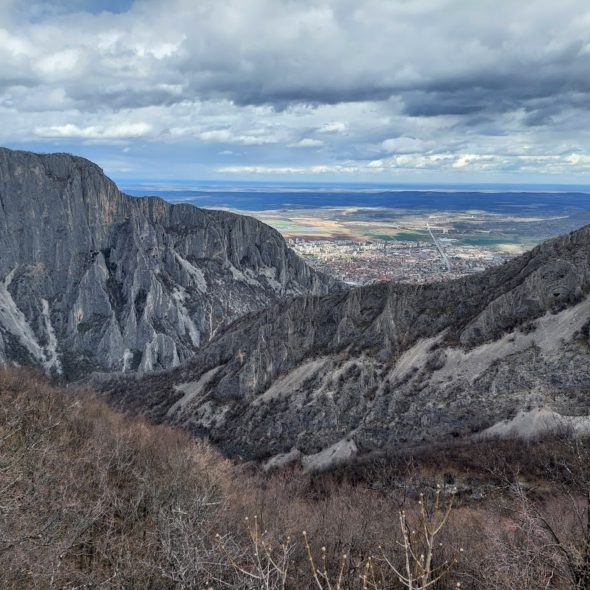 Вратцата